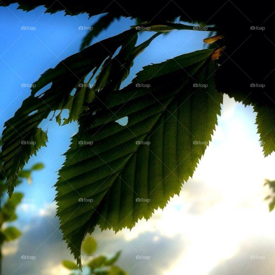 sweden ängelholm neighborhood lärkeröd by smartini65