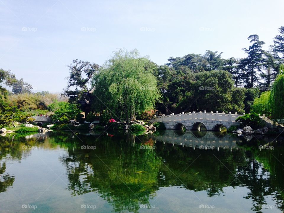 Beautiful pond in a Chinese garden