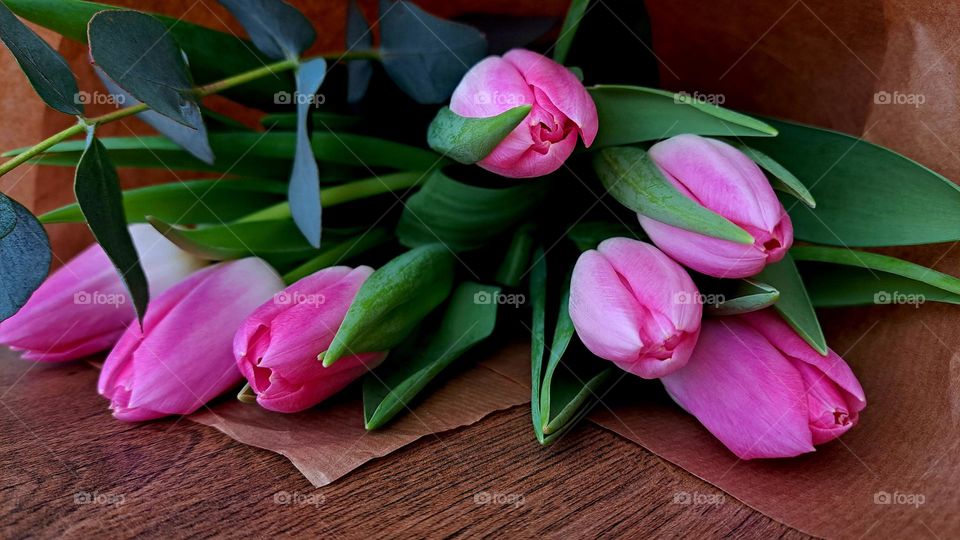 pink tulips