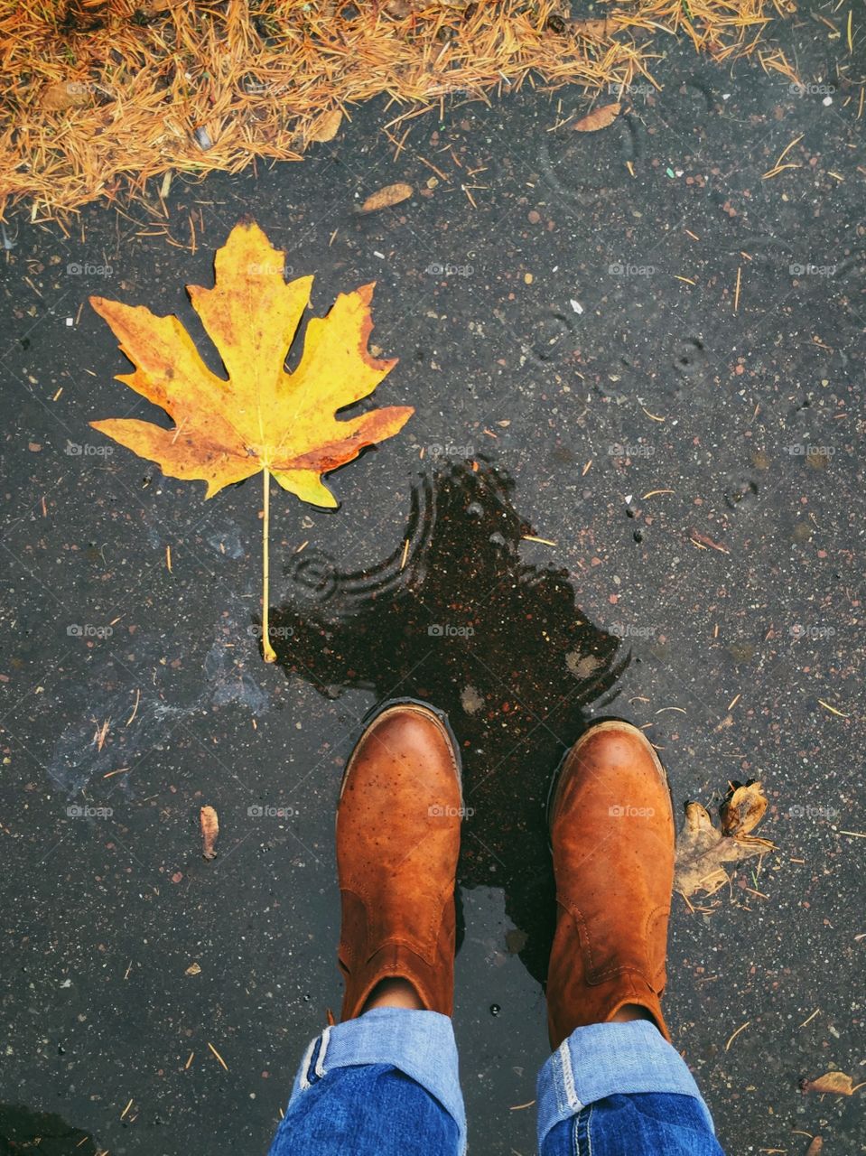 Autumn leaf, with reflection, in a puddle in the rain