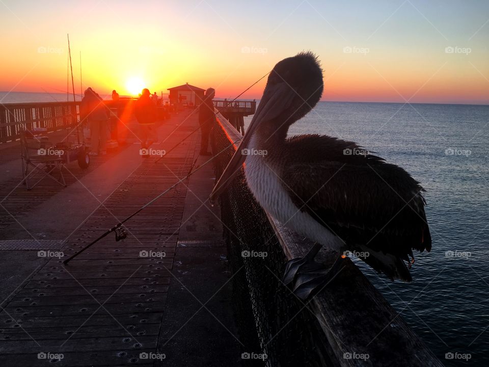 Sunset, Water, Sea, Dawn, Beach