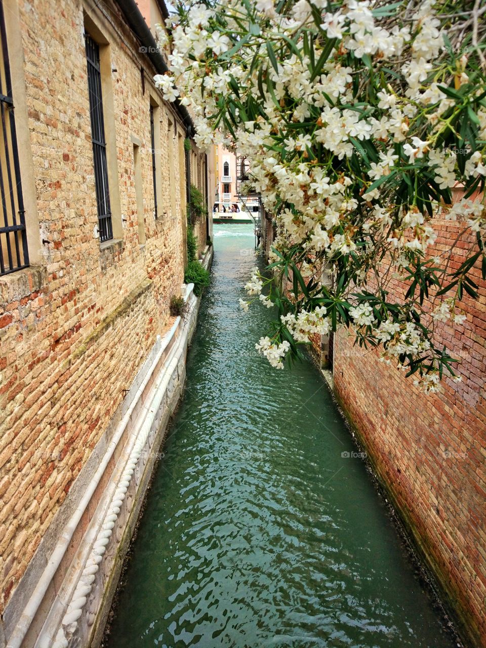 Channel in Venice, Italy