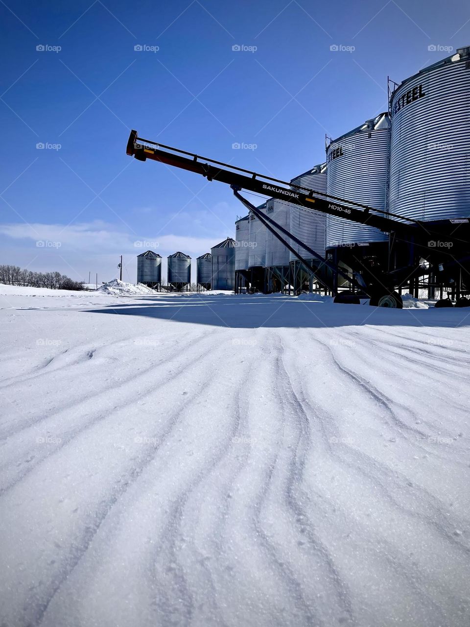 Winter on the farm 