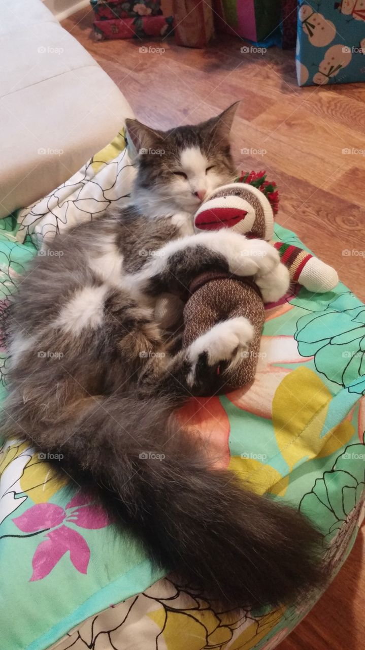 Sofi cuddling with her sock monkey