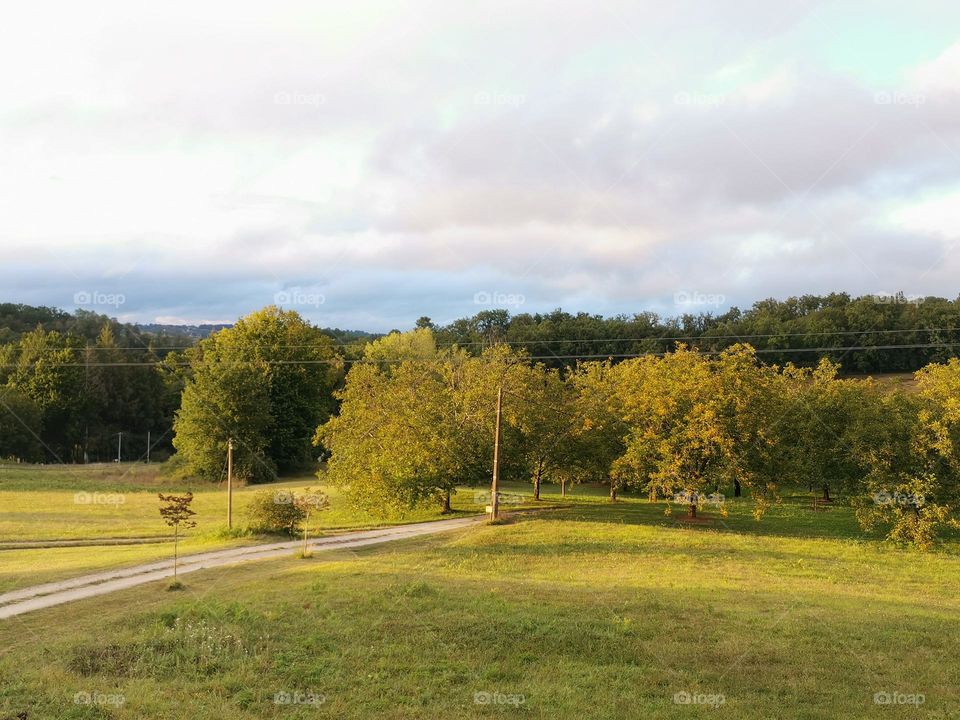 Chemin vers la fin de l'été
