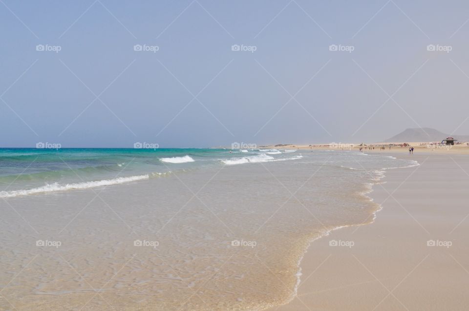 Fuerteventura canary island