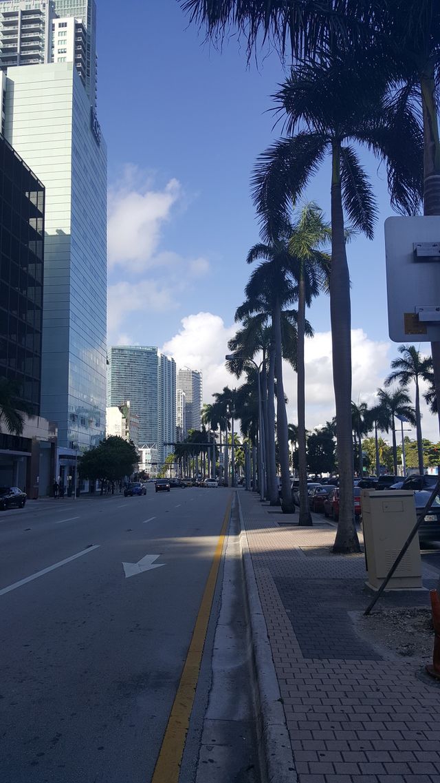 Amazing Miami!