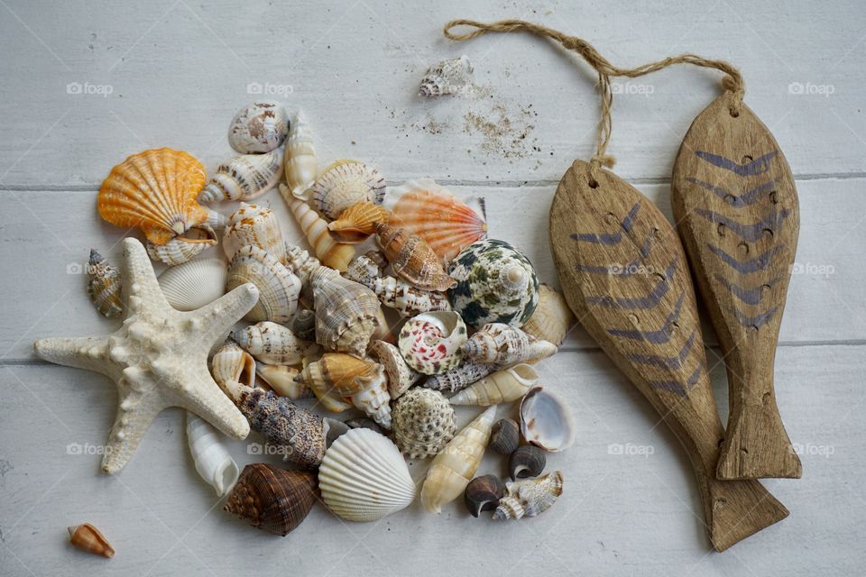 Seashell Flatlay