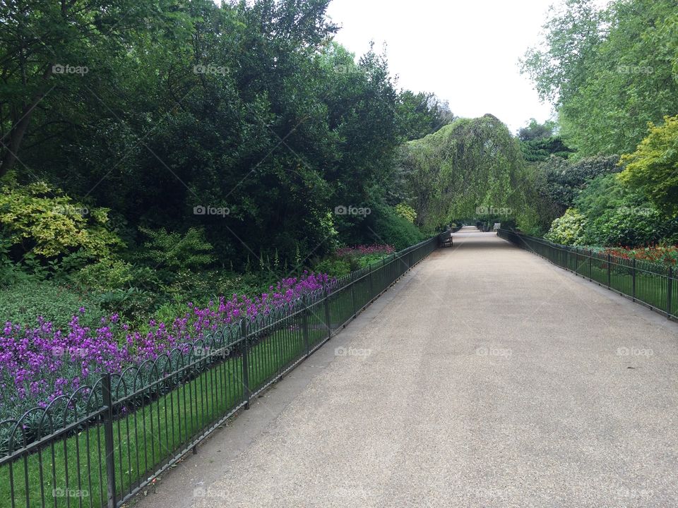 Kensington pathway