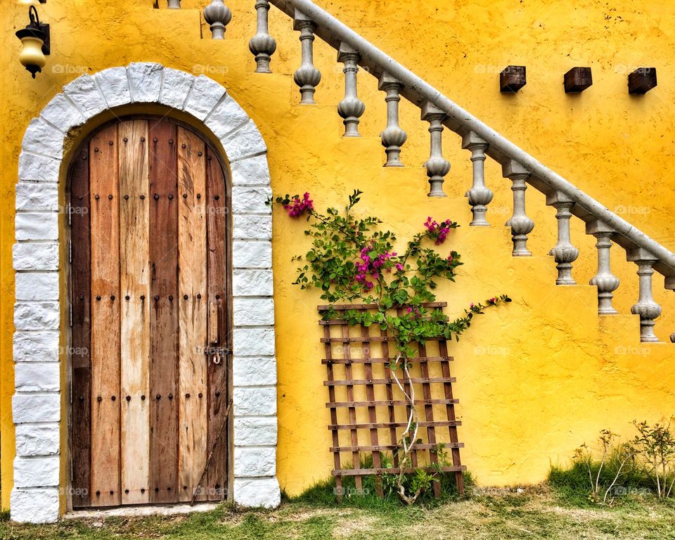 Bright yellow wall and wood door with plants