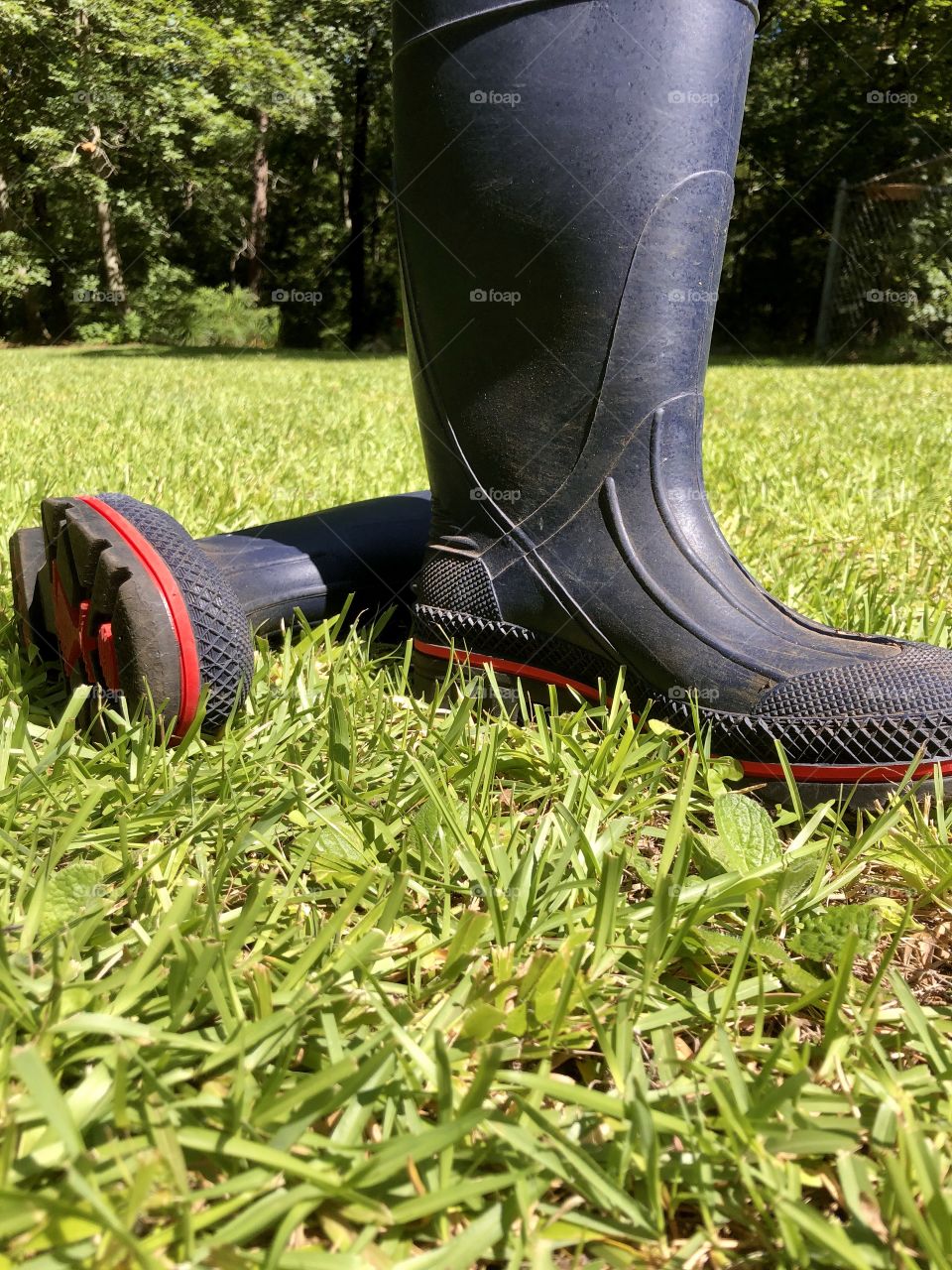 Blue rubber muck boots in grass in sunshine 