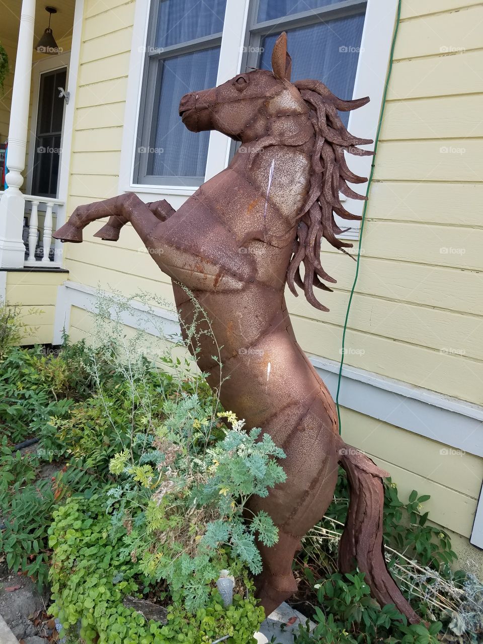 Artistic horse statue