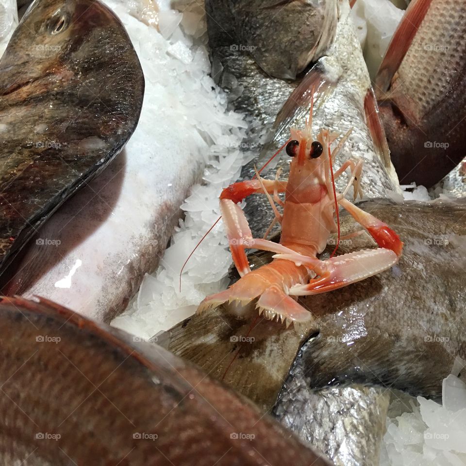 Fish market