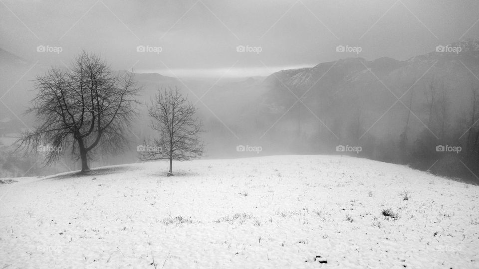 Mountain landscape in winter time with snow and fog on the forest. Italian Alps panorama