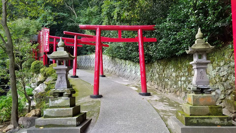 Red torii gates,  Japan