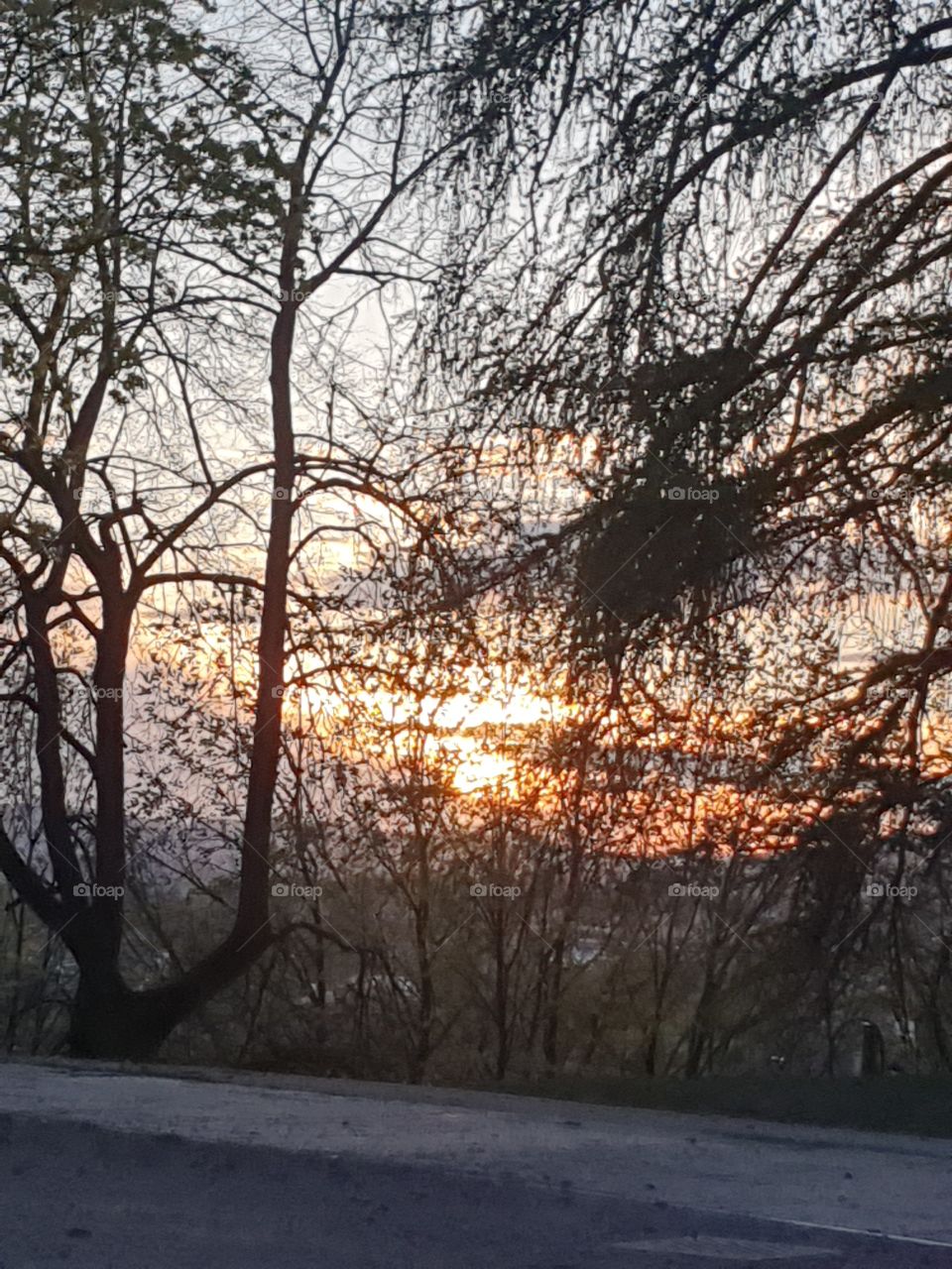 OsloByNight' taken from kampenparken