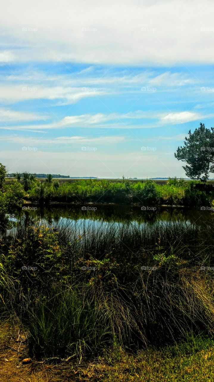 Grassy Breezes