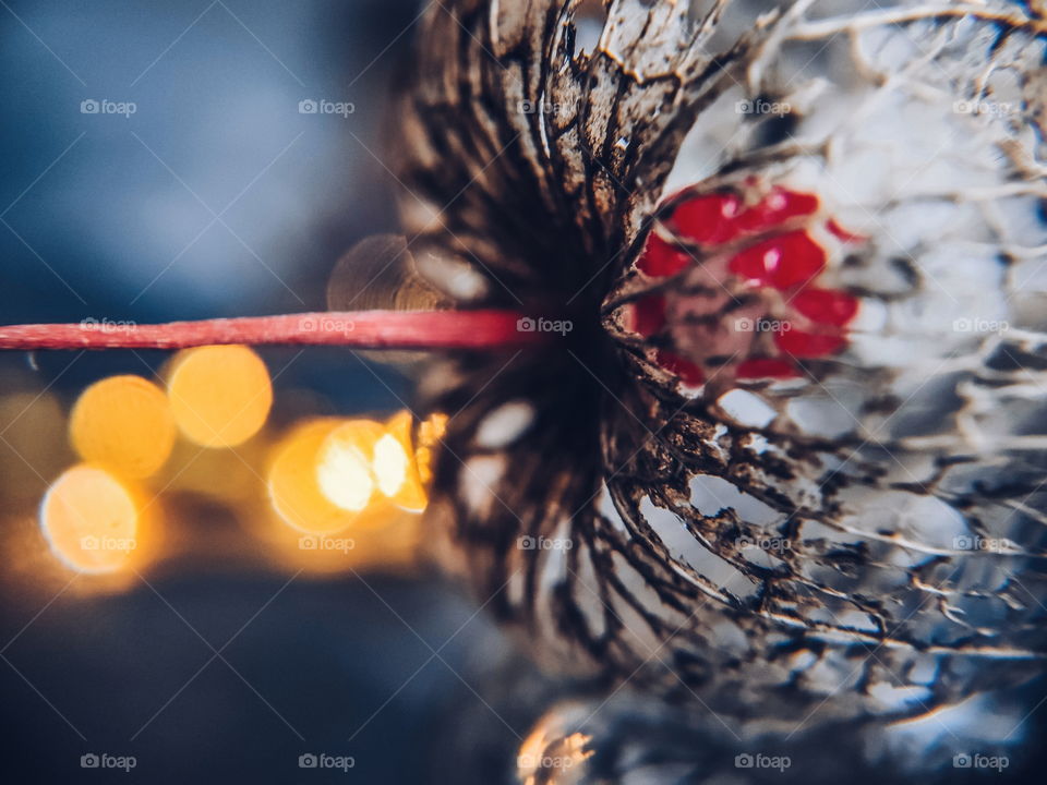 dried physalis lantern