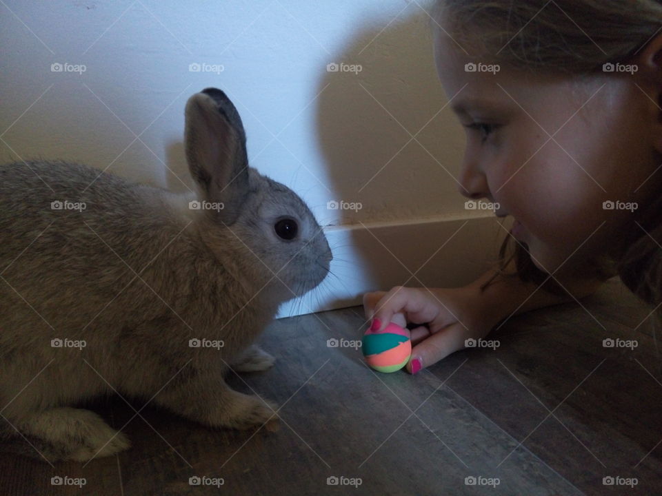 Our rabbit Simon with my daughter. There are friends