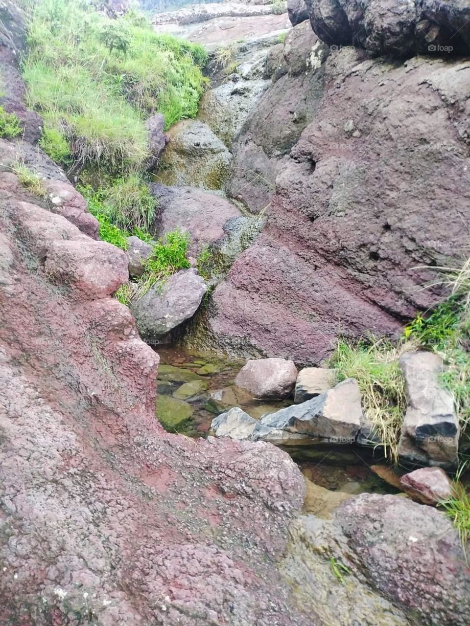 Glory be to God, the magnificent and picturesque view and the natural green trees are a view that is nothing more wonderful than it