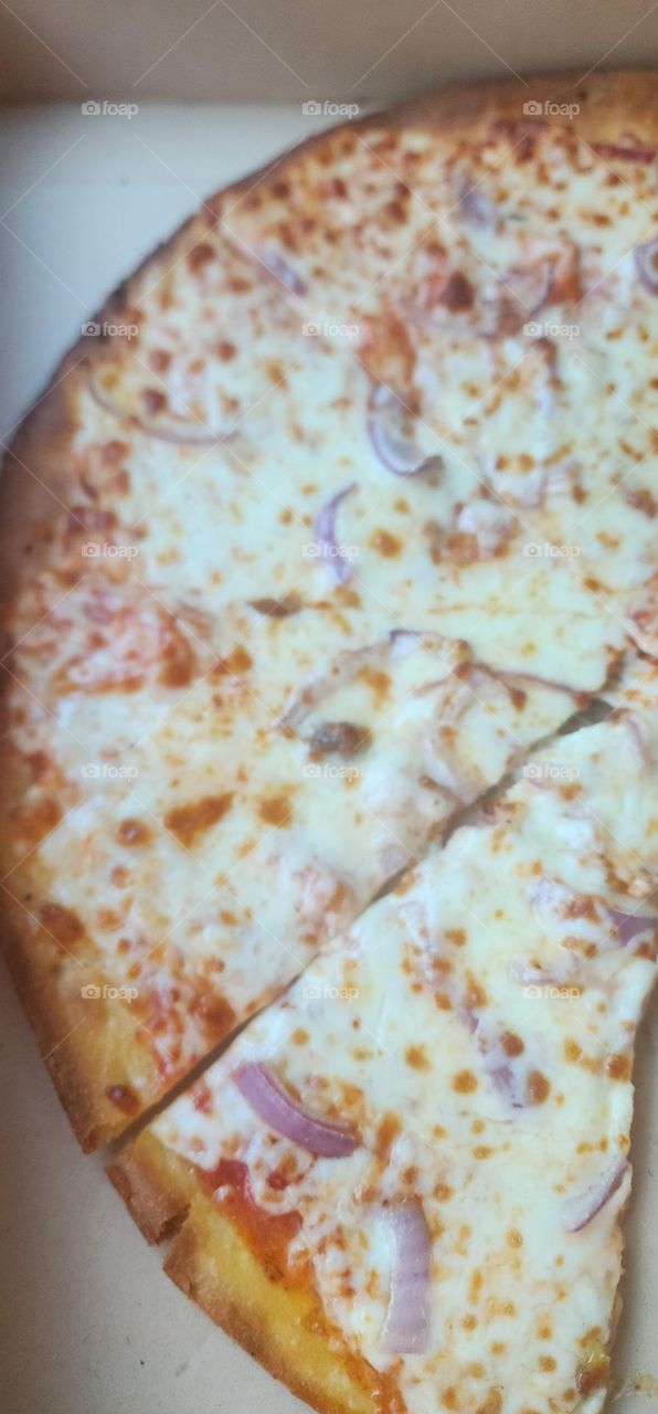 cheese and onion pizza