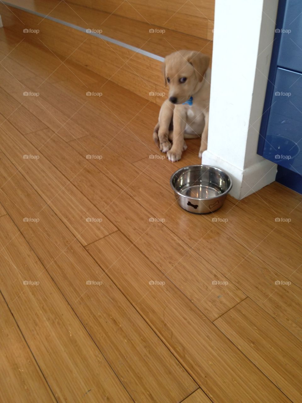 Wood, Floor, Family, Indoors, Hardwood