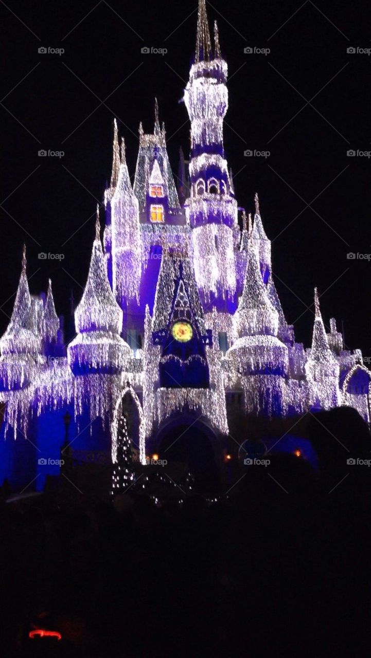 Disney world princess castle