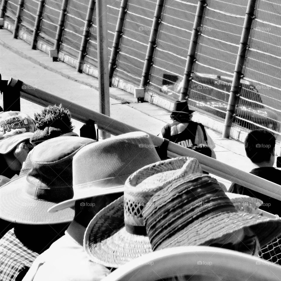 Hats at the races