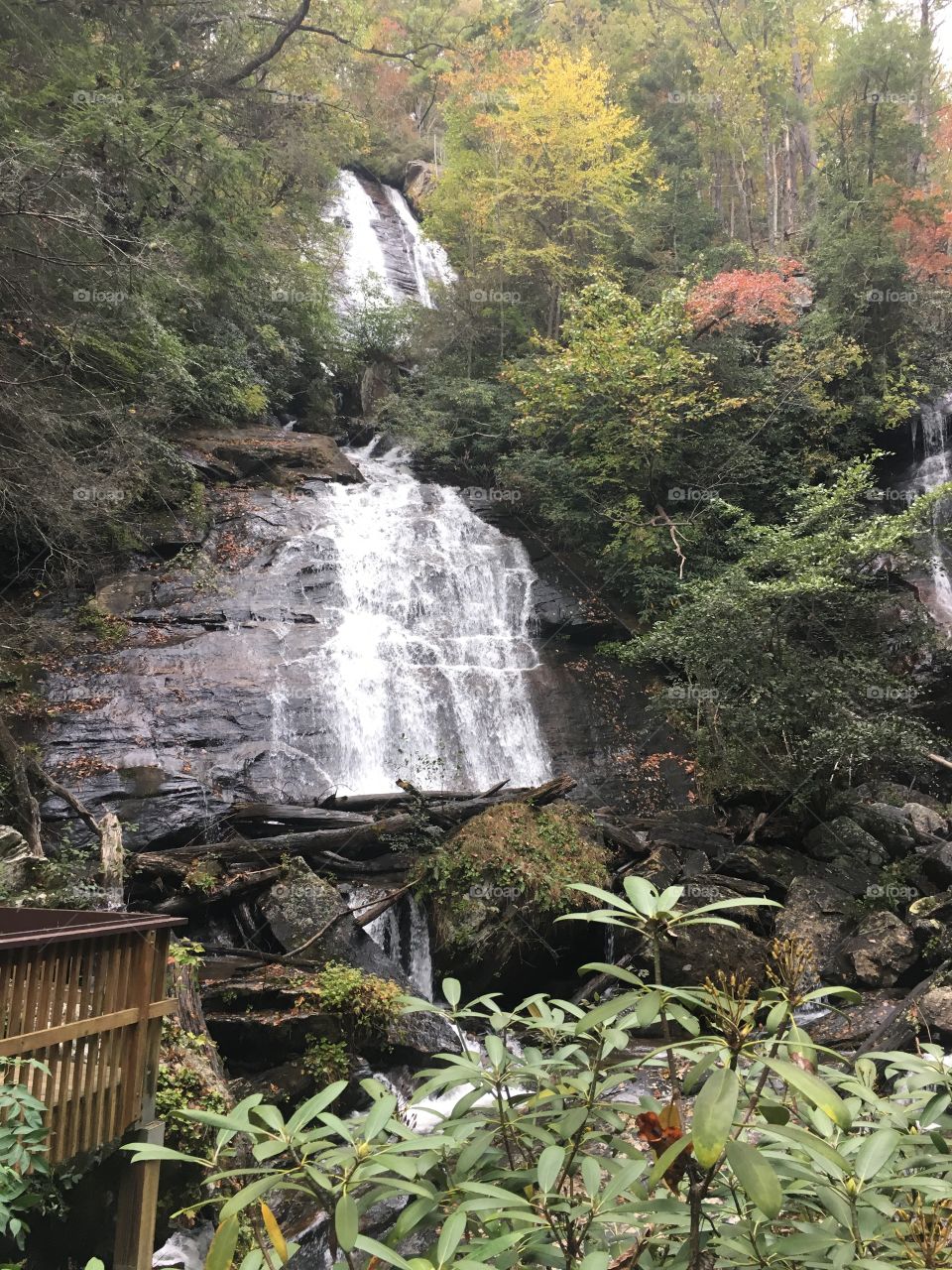 Waterfall in Anna Ruby Falls in Georgia