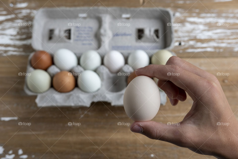 Hand holding an egg
