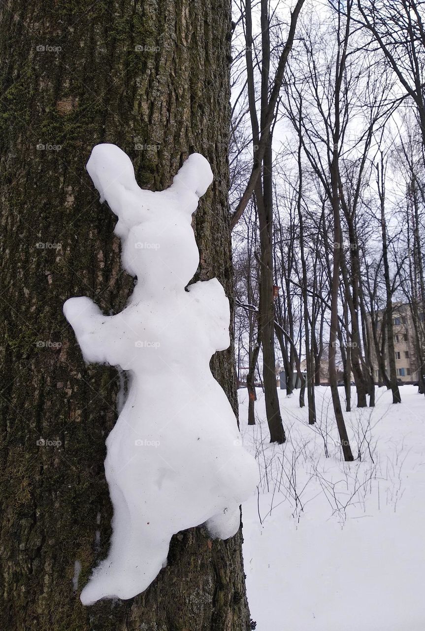 rabbit snow in park