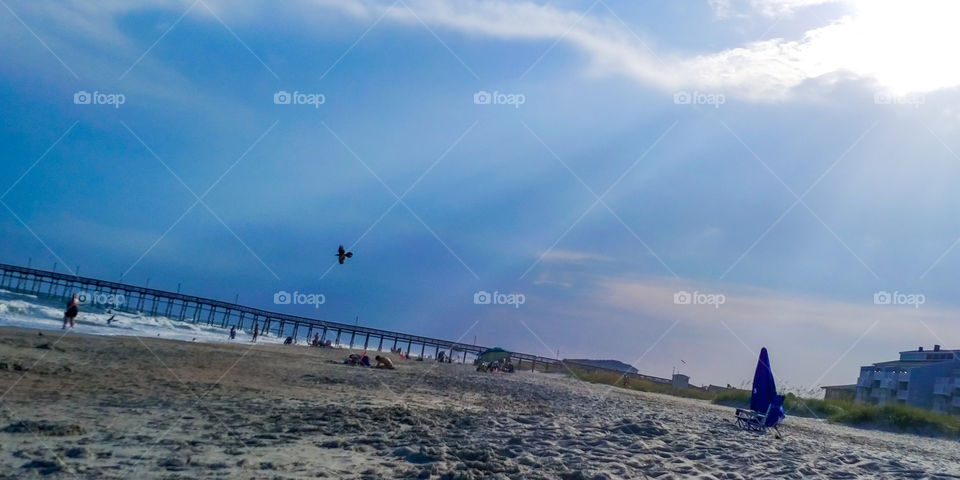 the sun beams down over a lone bird flying through the sky.