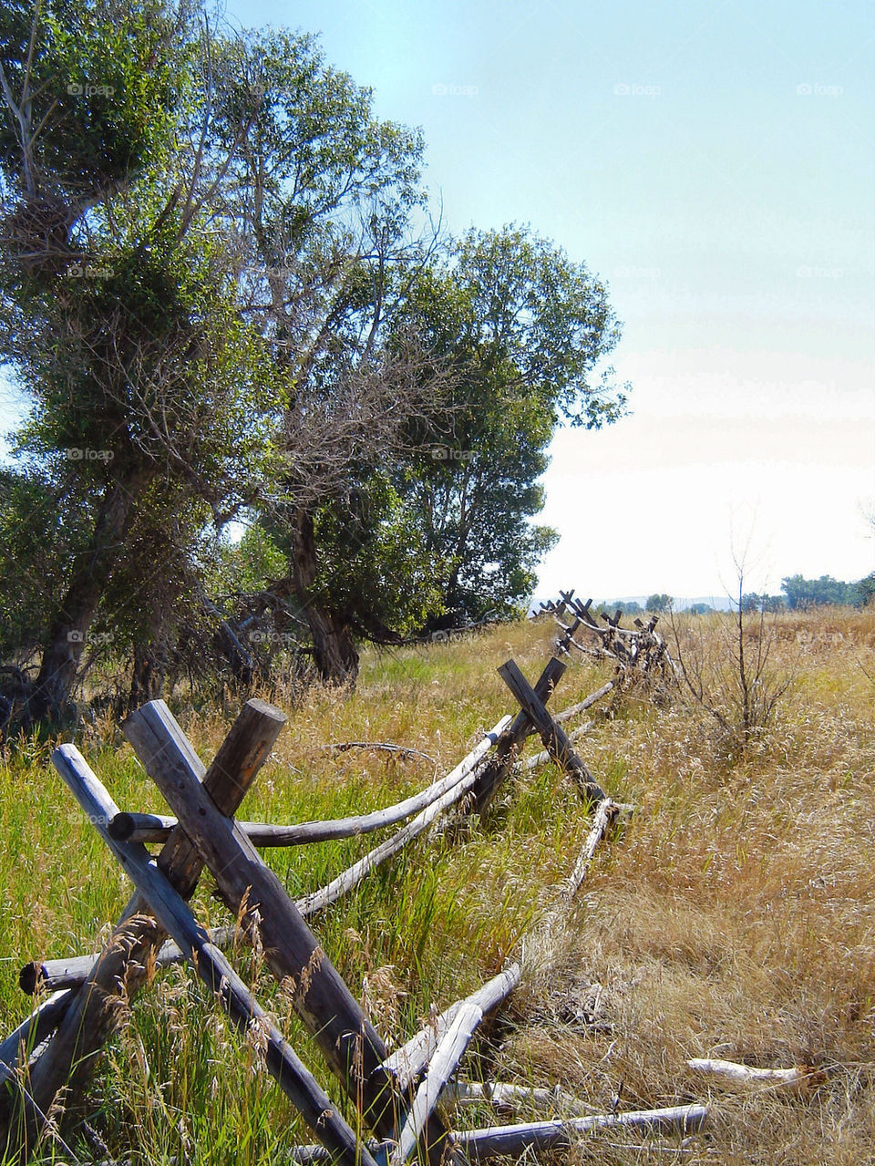 field outdoors wood fence by refocusphoto