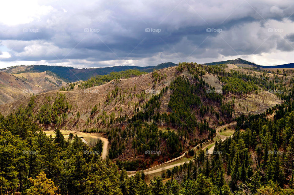 deadwood south dakota trees black hills by refocusphoto