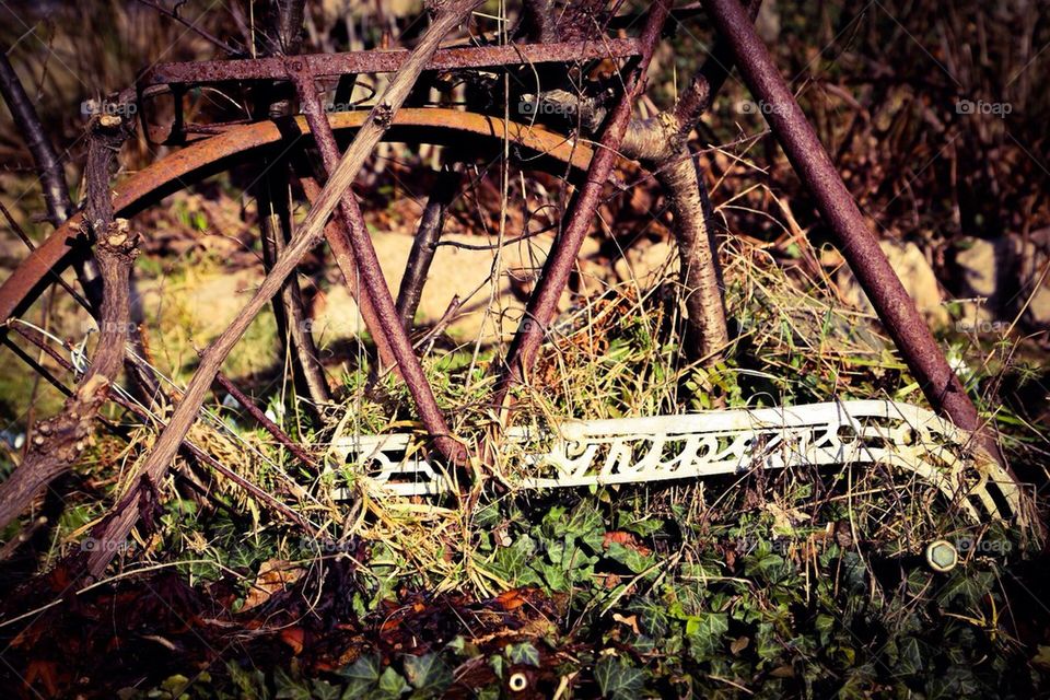 Rusty bike