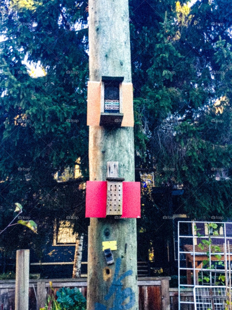 Mason bee hives in local community in Vancouver 