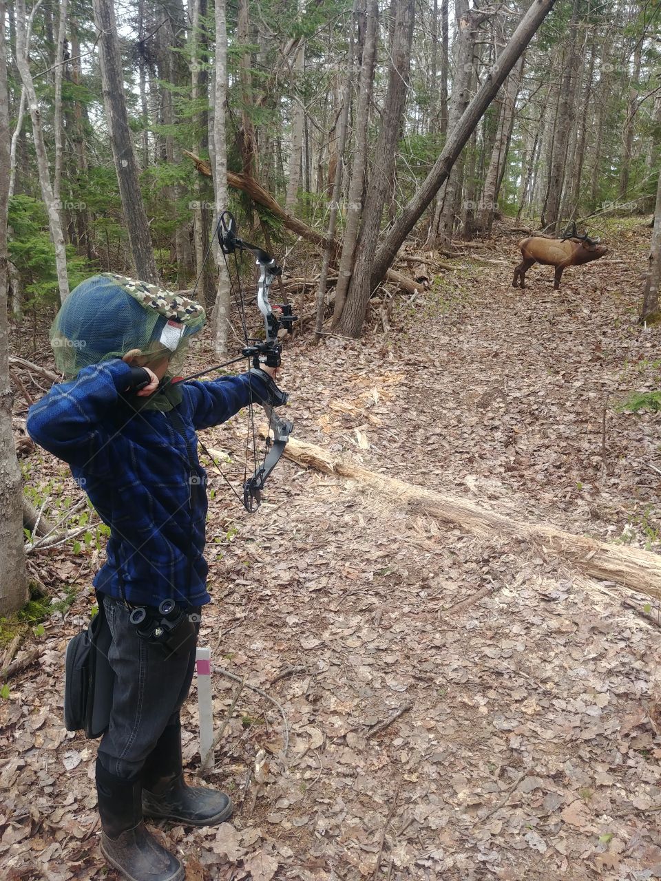 Little Archer practicing his technique in the woods!
