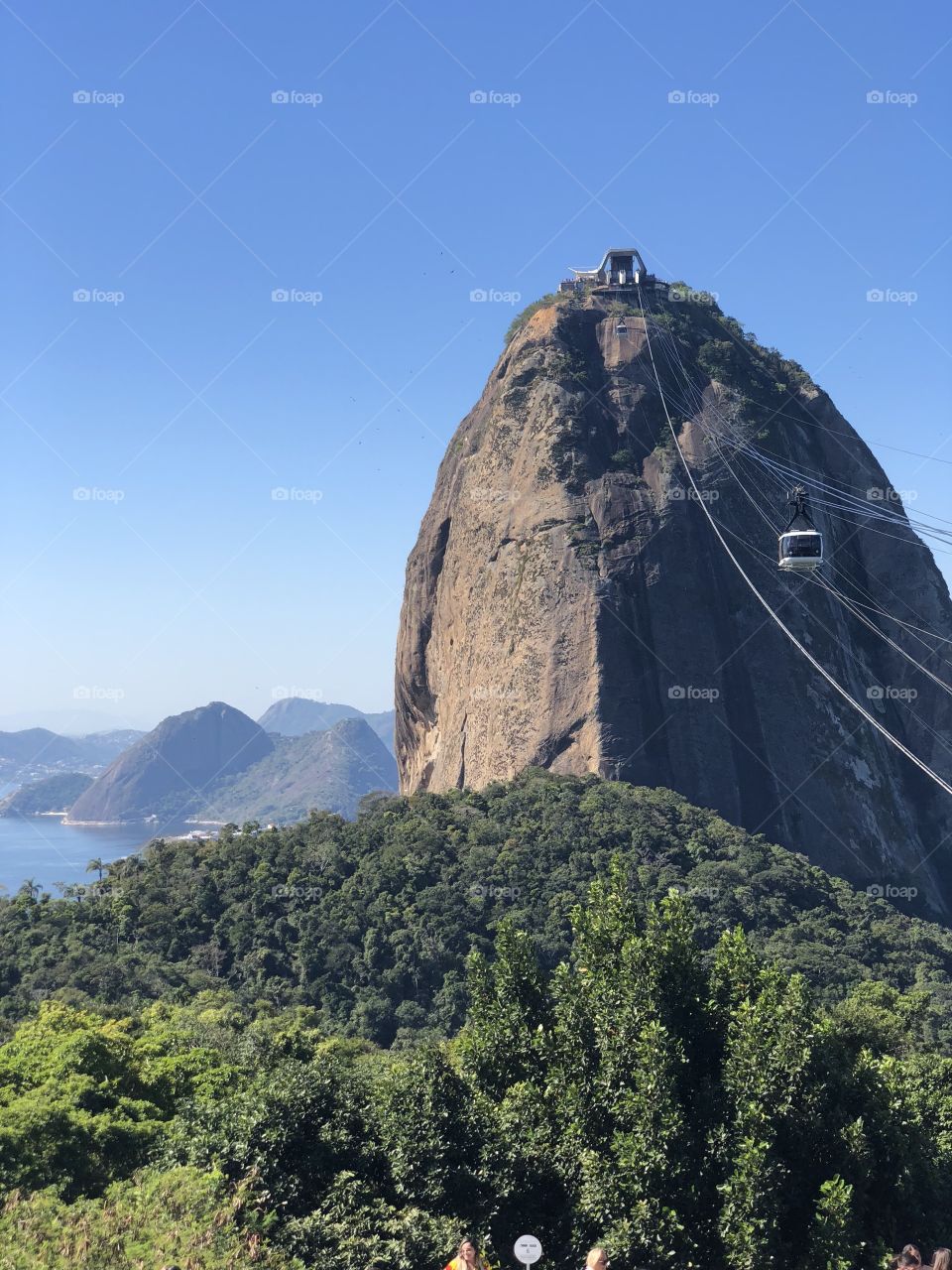 Rio de Janeiro tropical florest sugar loft