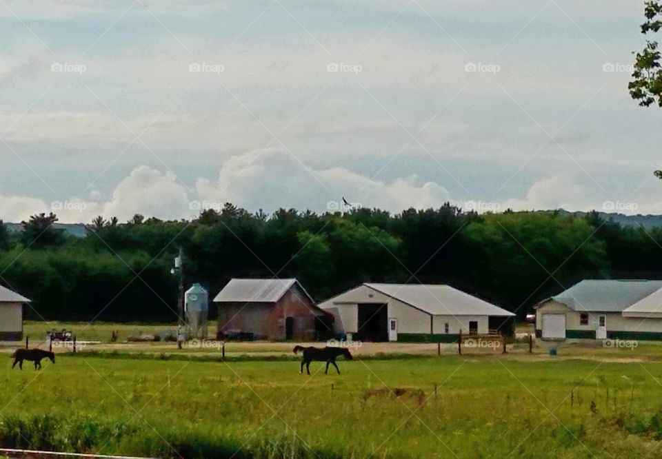 Driving the Back Roads and enjoying everything around us