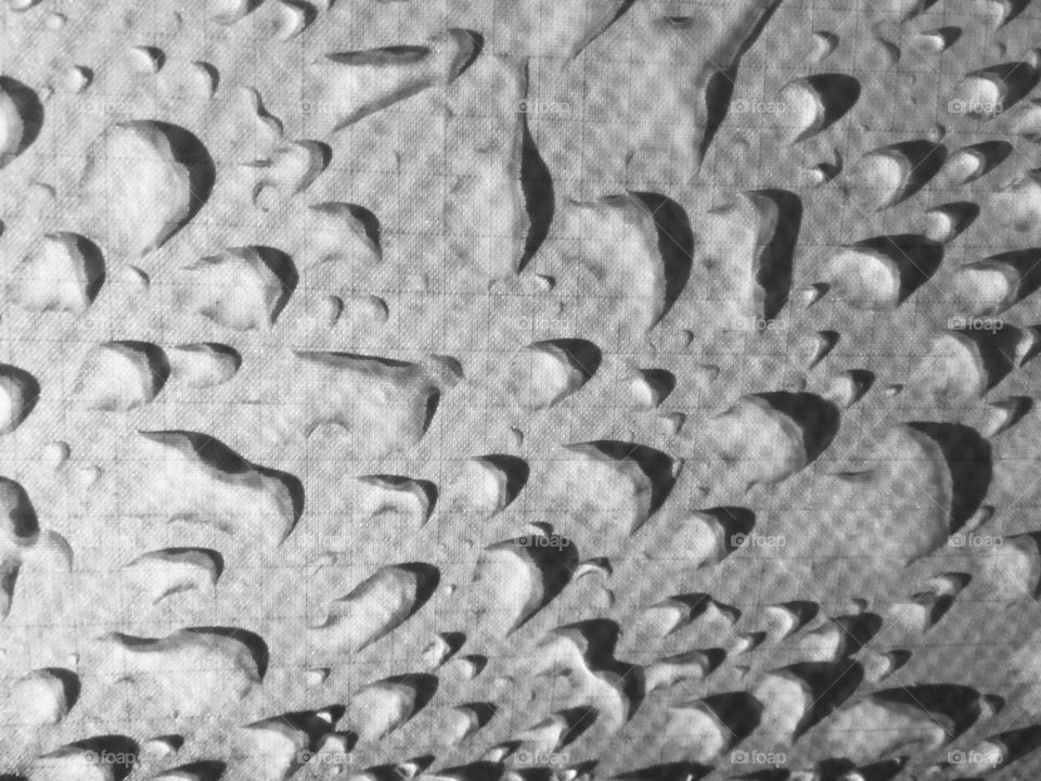 Rain Drops on Tent