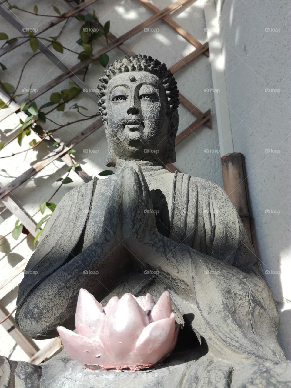 buddha