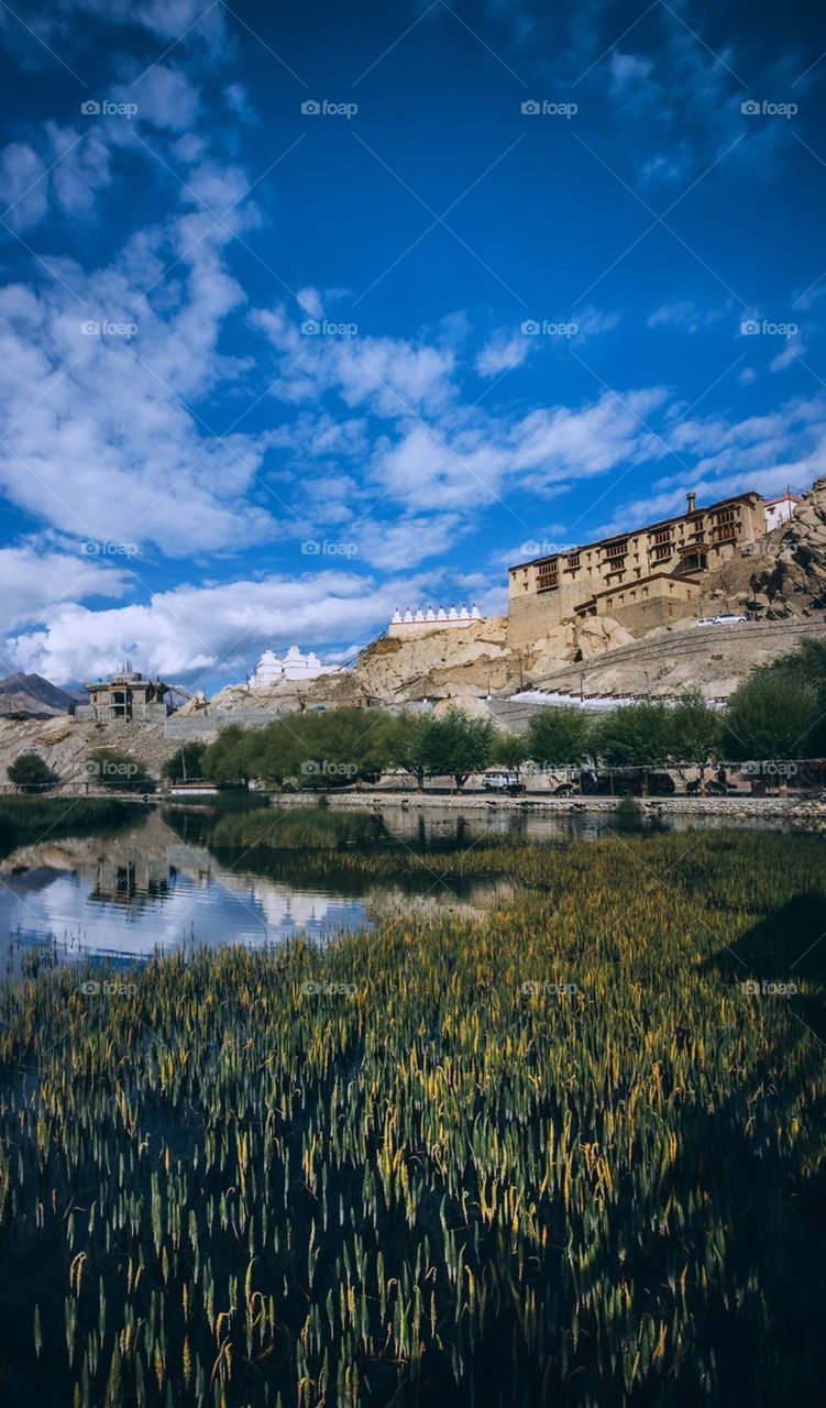 Shey palace: A place worth to visit.