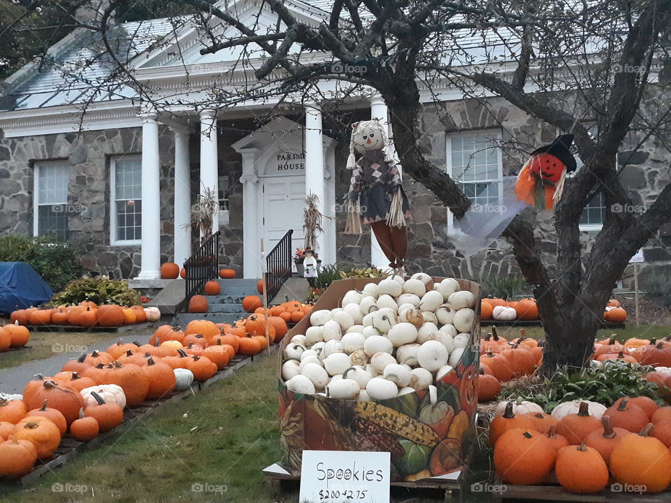 pumpkin sales