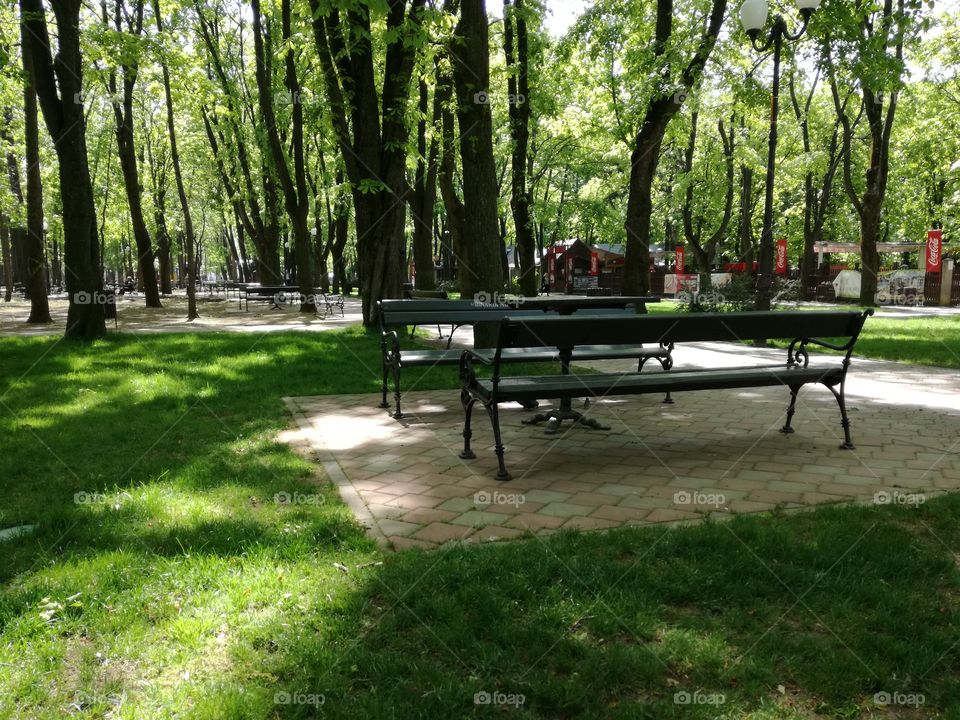 park