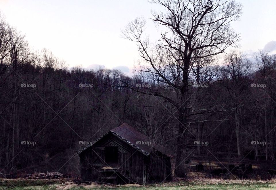 Barn in Winter