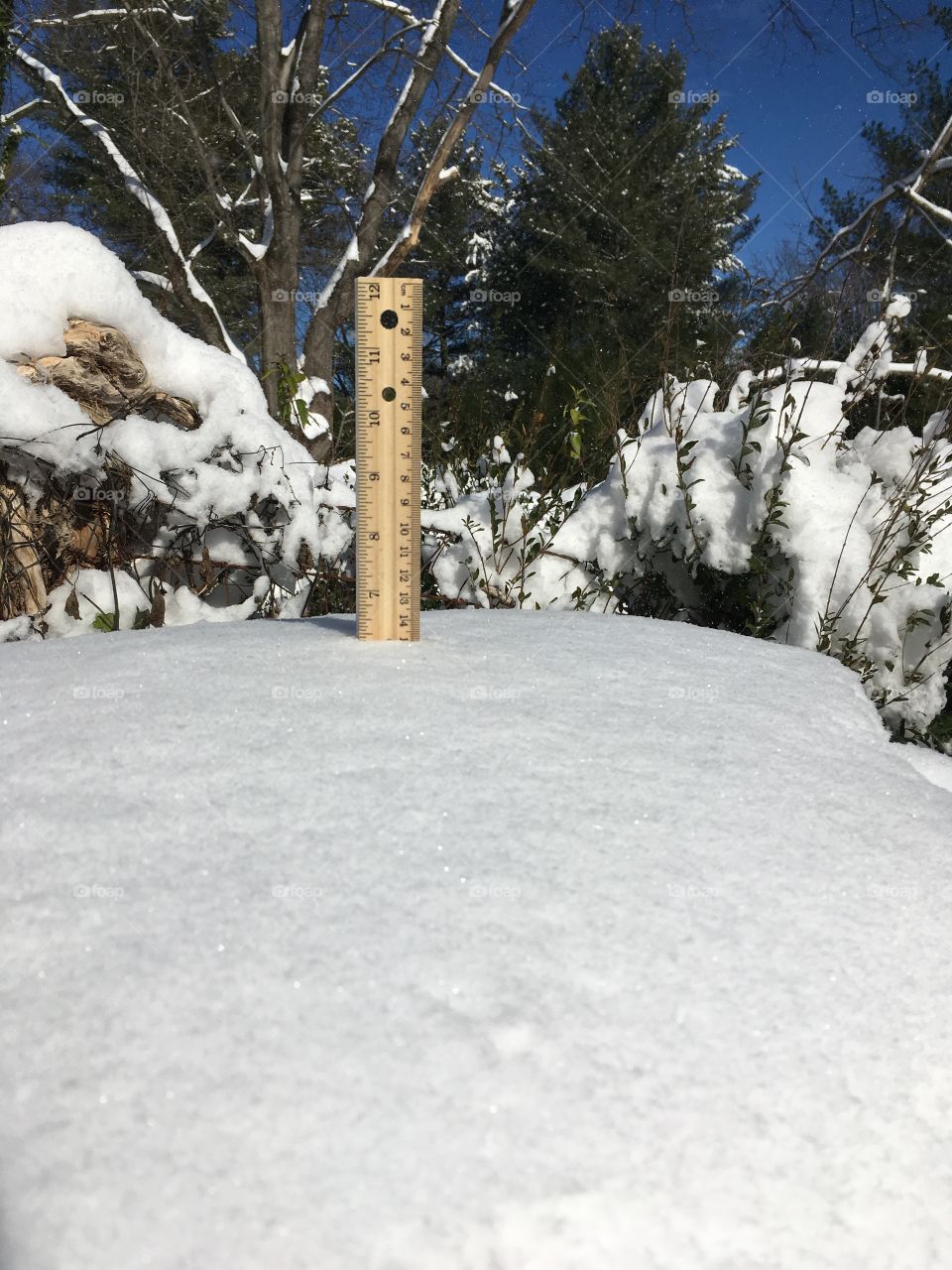 Measure snow