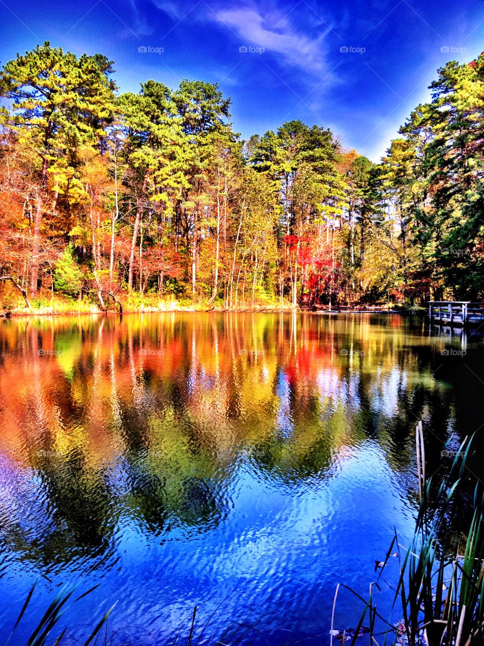Fall and a beautiful forest lake