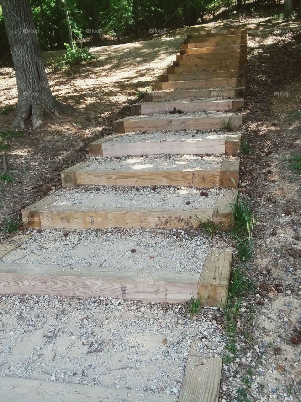 steps in a park