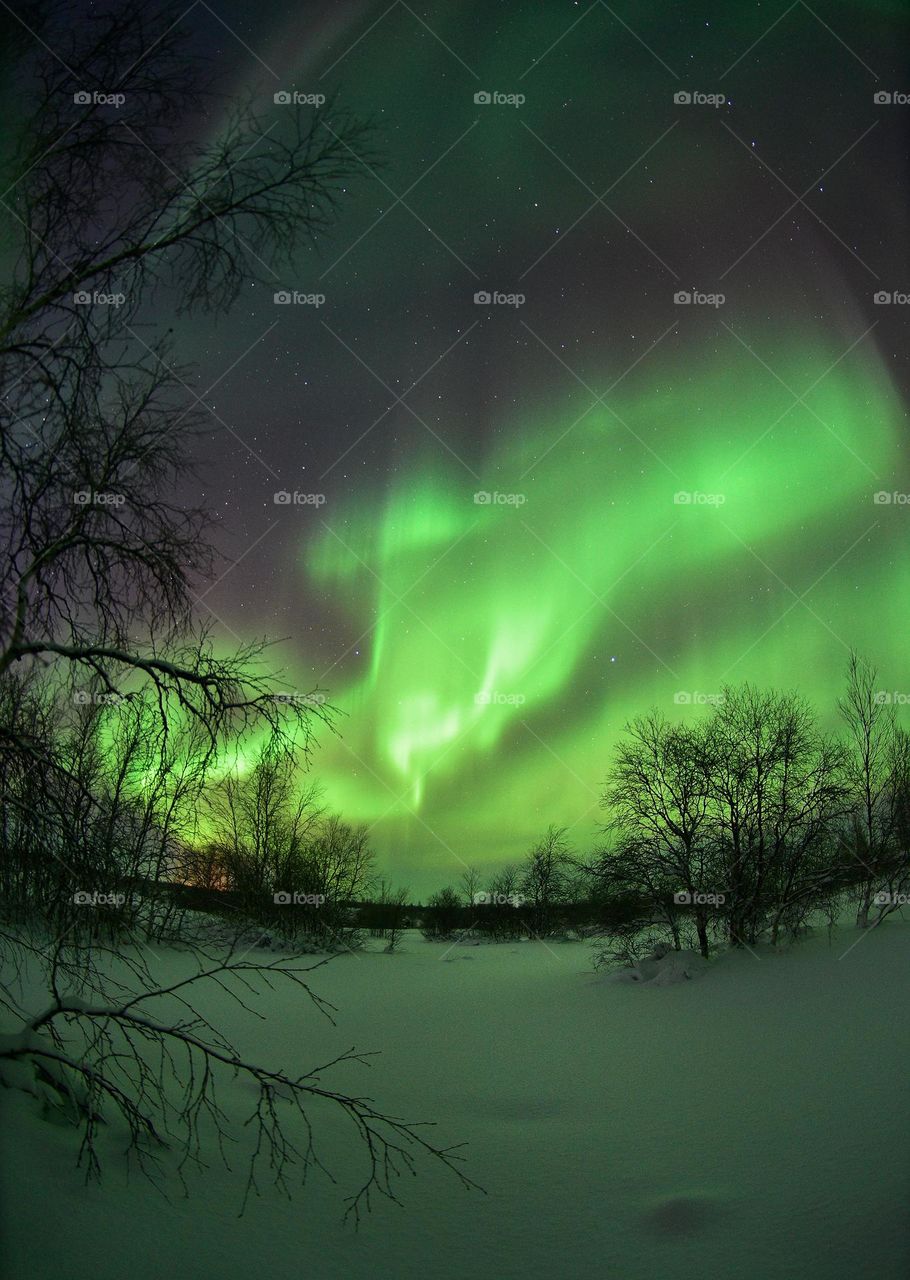 Winter,winter dawn,winter morning,darkness,yellow,morning,morning light,morning freshness,the day begins,snow,blue,,blue dawn,Arctic,winter evening,sunset,cold dawn,cold sunset,end of the day,sunset in the forest,sunset in winter,sunset in the north,