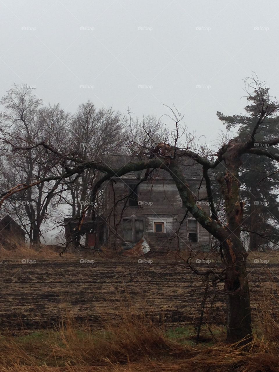 Old abandon home near Pawnee City, NE